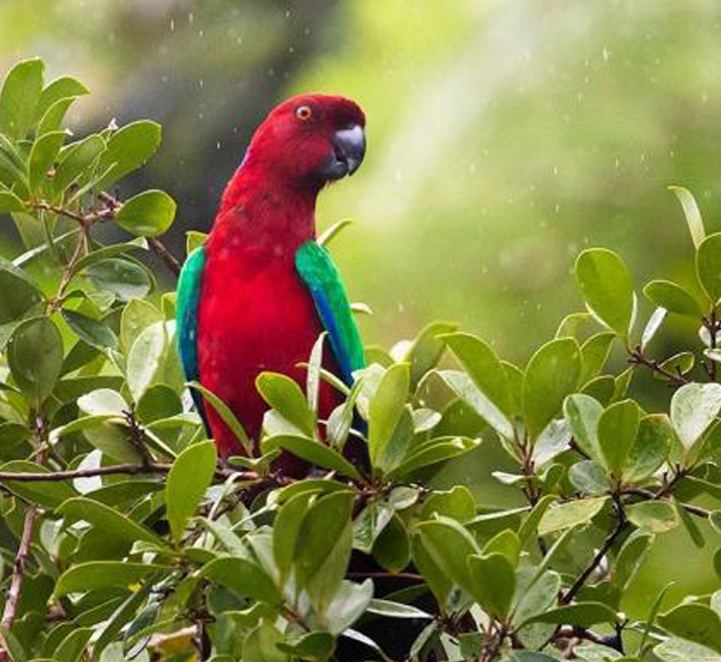 Ecotourism in Fiji. A growing sector speciality.