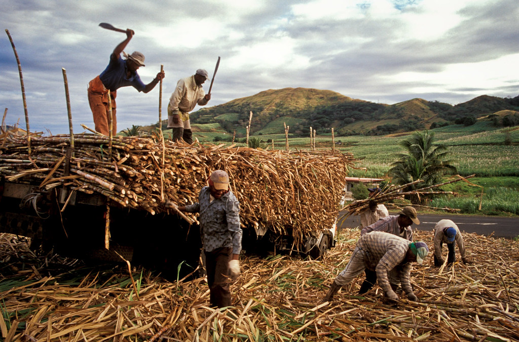 Businesses importing from Fiji and exporters to North America.